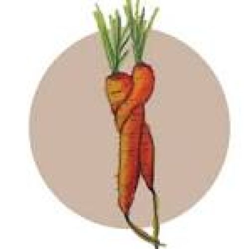 frischlinge | Der Bioladen im Quartier Enge